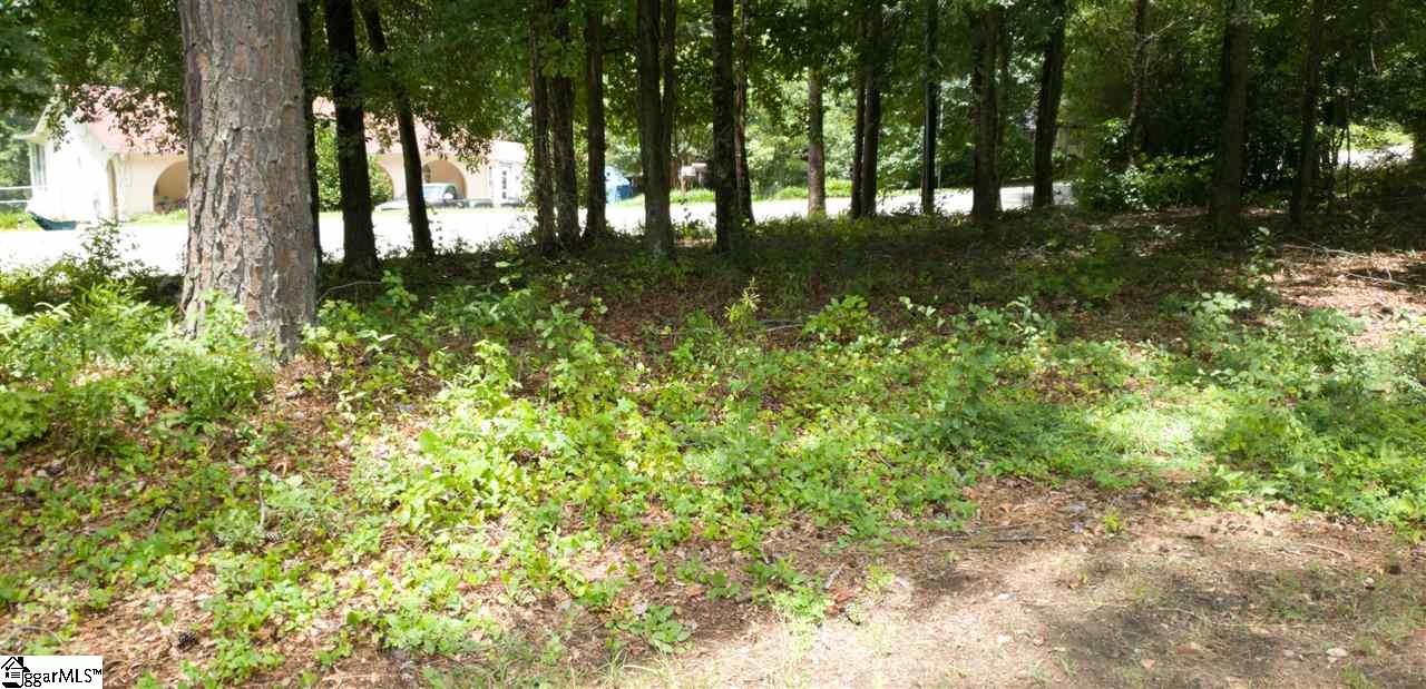 1910 Lake Cunningham Road Greer, SC 29651 - Photo 29 of 35