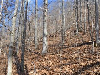 5080 Tipton Ridge Road Ravenna, KY 40472 - Photo 15 of 20 Fall Picture!