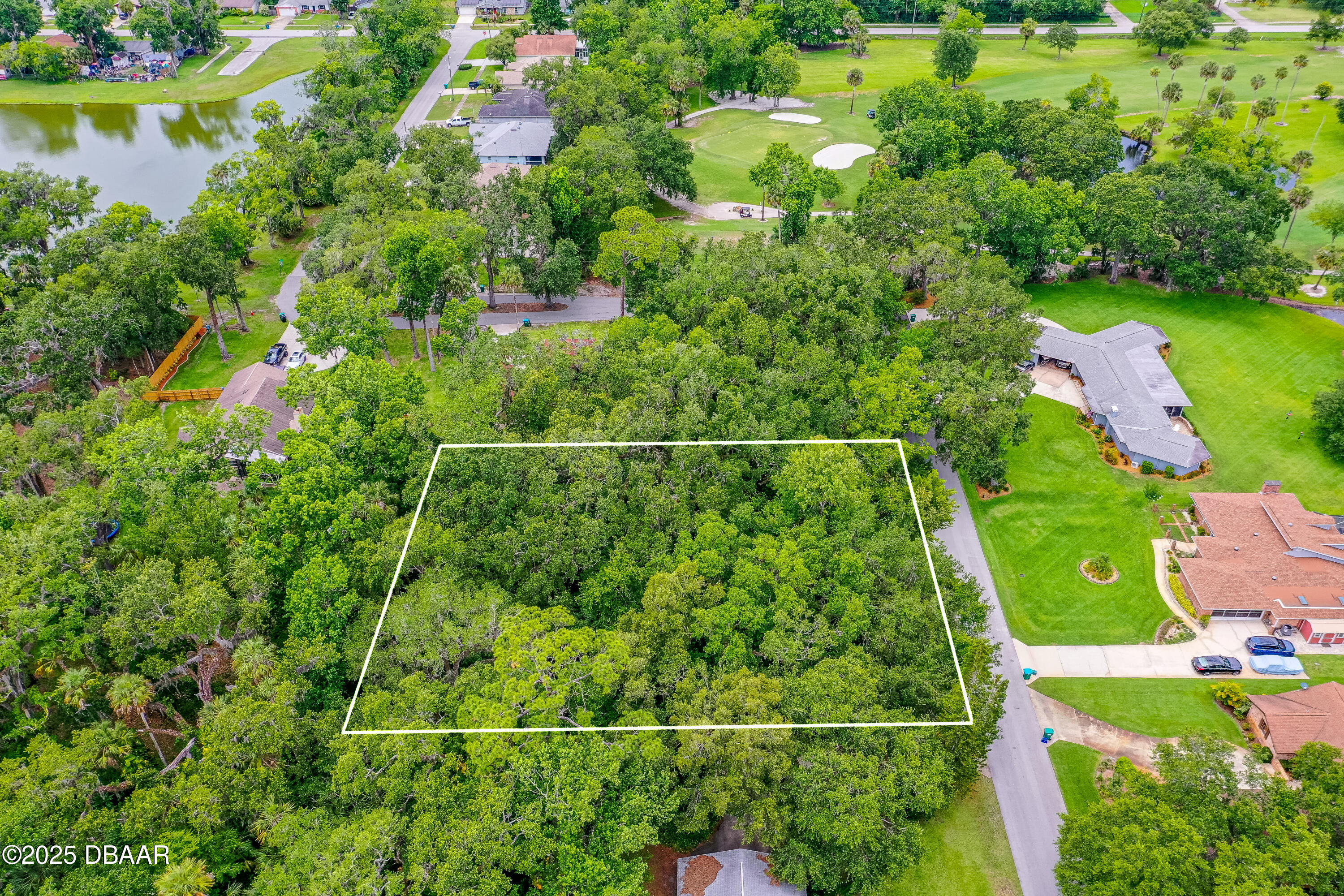 3 Timber Trail Holly Hill, FL 32174 - Photo 4 of 8 a view of a yard