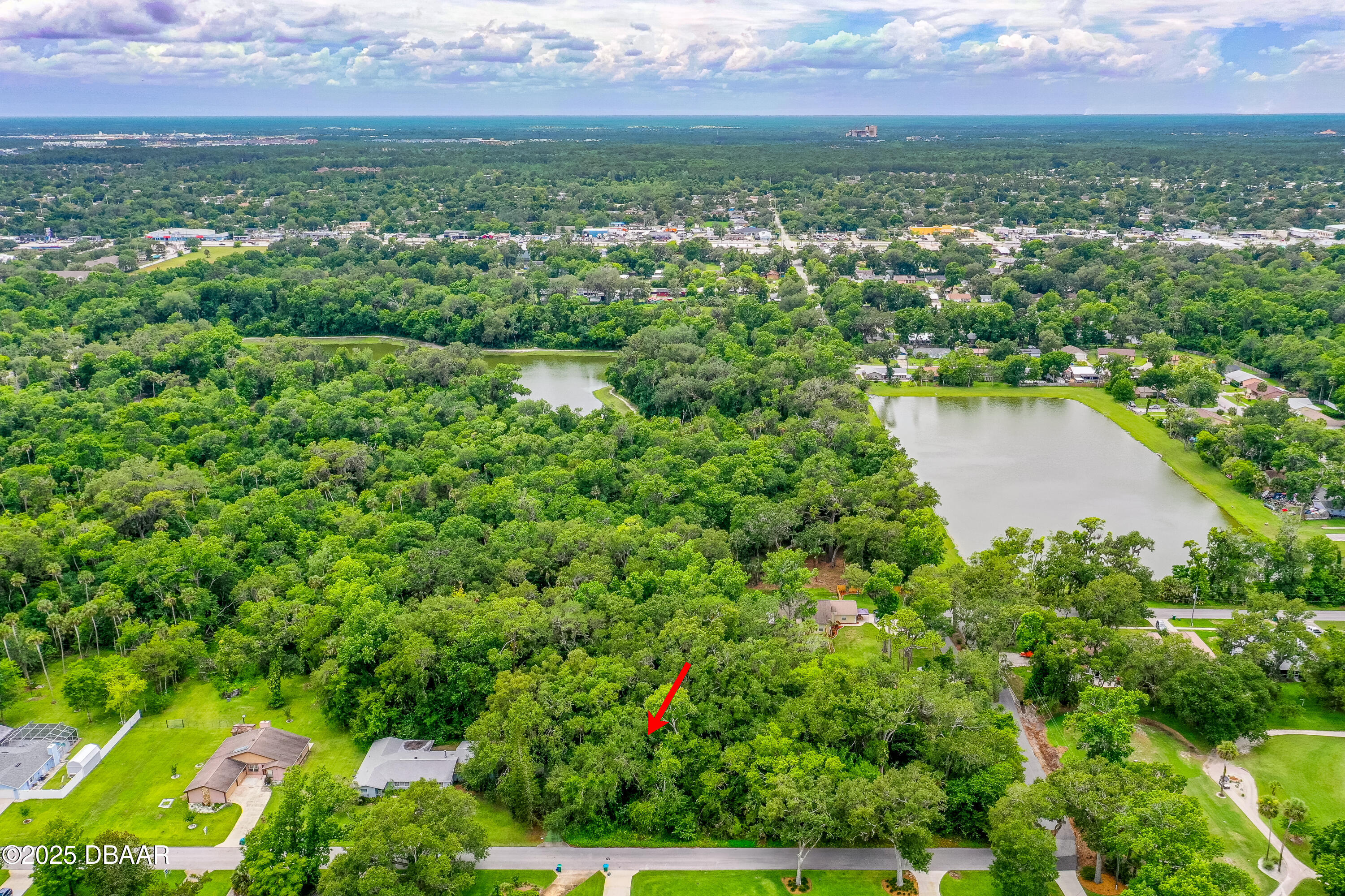 3 Timber Trail Holly Hill, FL 32174 - Photo 6 of 8 an aerial view of residential houses with outdoor space and trees