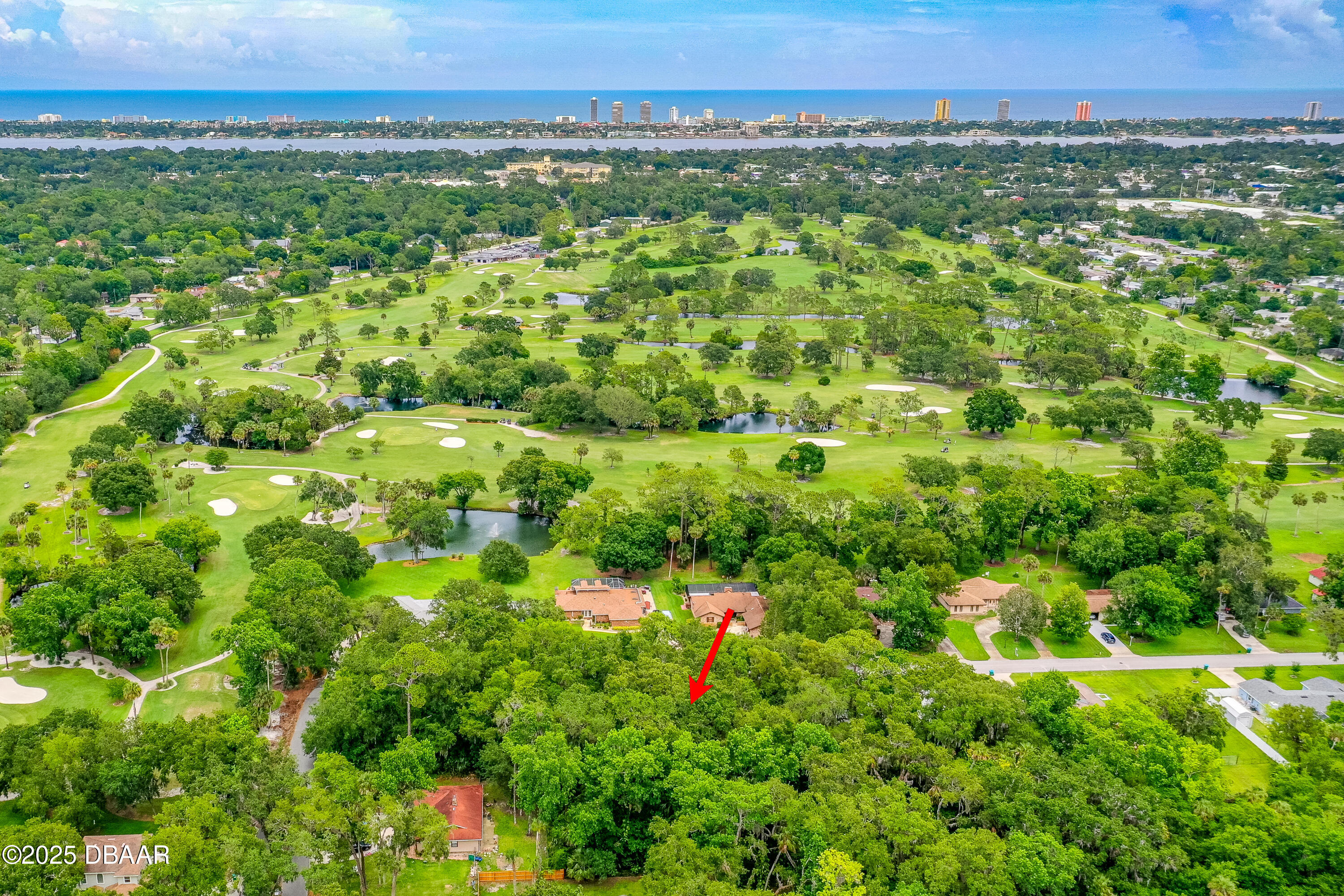 3 Timber Trail Holly Hill, FL 32174 - Photo 8 of 8 a view of a green field with lots of bushes