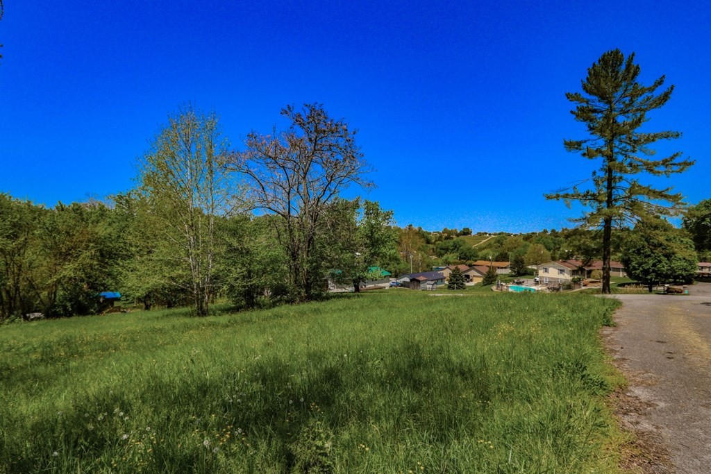 614 Morrell Springs Road Newport, TN 37821 - Photo 20 of 35 Gallery Image 20