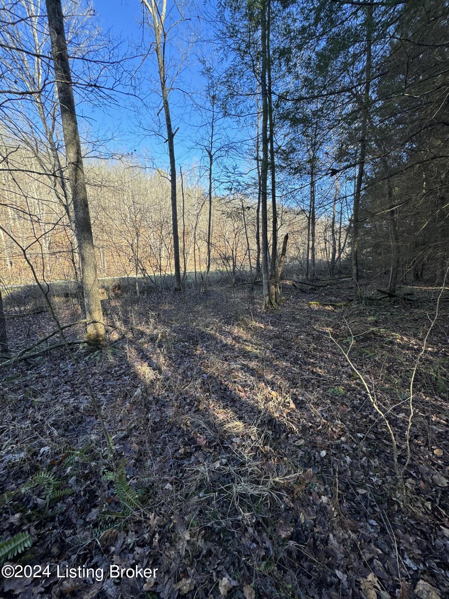 0 Cooper Road Greenup, KY 41144 - Photo 30 of 37 IMG_1075