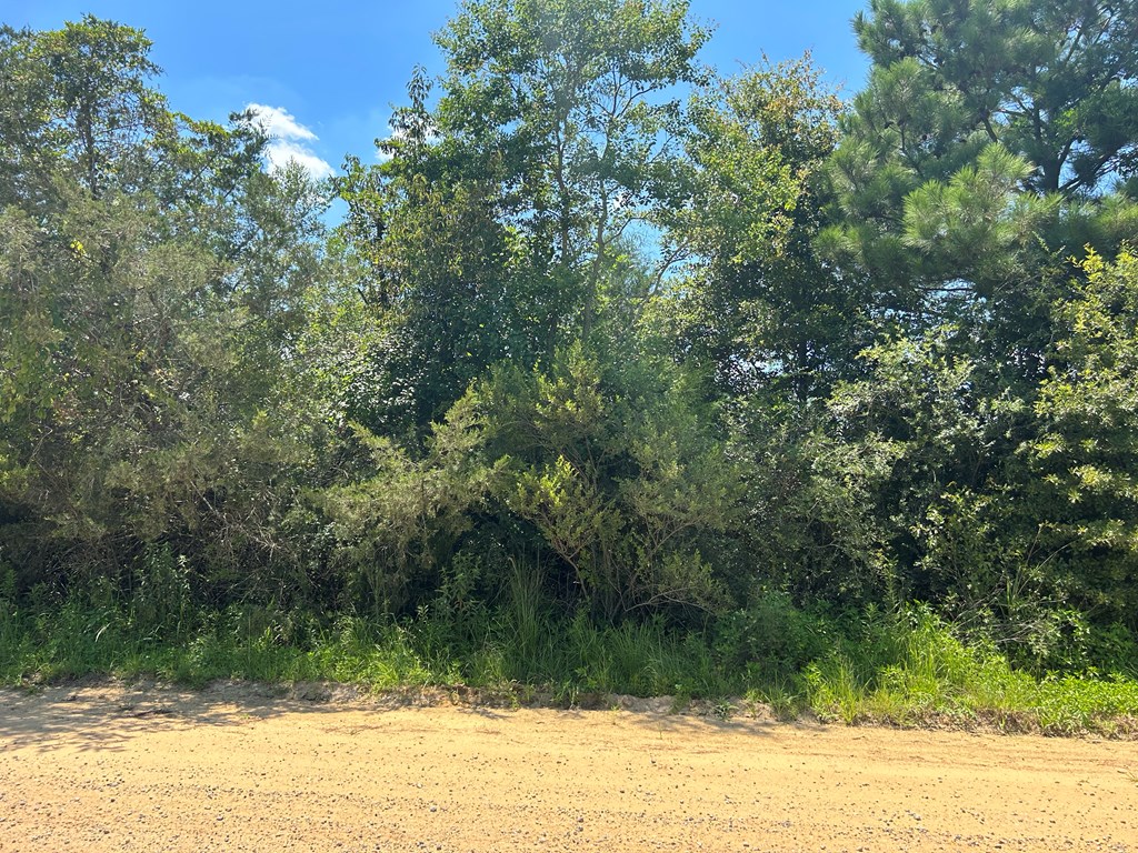132.3-ac Green Road Dothan, AL 36303 - Photo 57 of 63