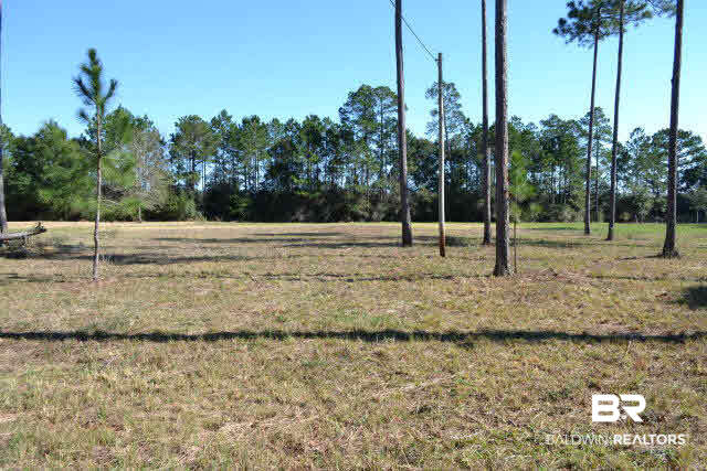 29409 Archie Road Elberta, AL 36530 - Photo 3 of 20 Partially cleared