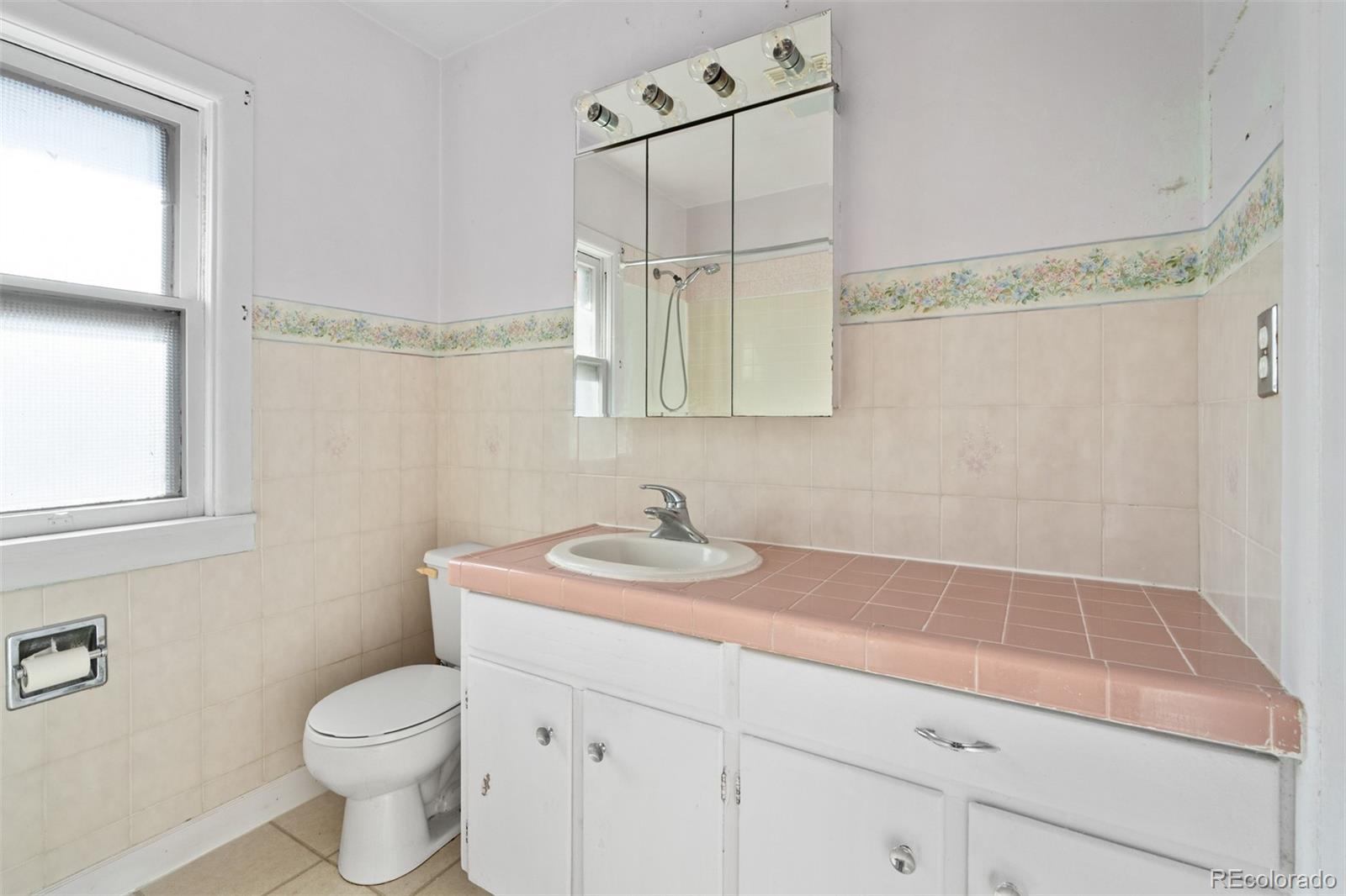 5919 South Bemis Street Littleton, CO 80120 - Photo 28 of 43 a bathroom with a sink a toilet and shower