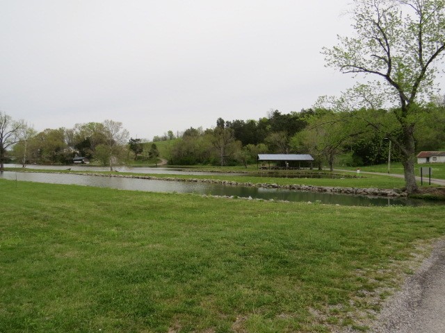 807 Clear Creek Road Pulaski, TN 38478 - Photo 13 of 19 a view of a green field with trees