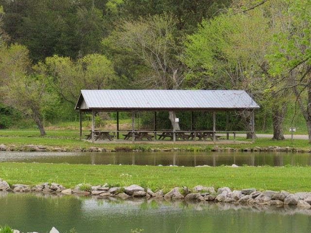 807 Clear Creek Road Pulaski, TN 38478 - Photo 14 of 19 a view of a house with a yard and a swimming pool