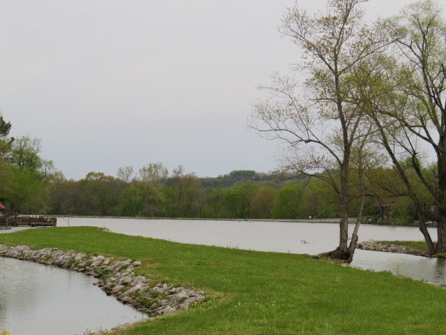 807 Clear Creek Road Pulaski, TN 38478 - Photo 15 of 19 a view of a lake with a yard