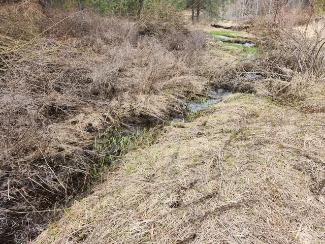 $99,500 | 29-xx Bakie Road, Valley, WA 99181