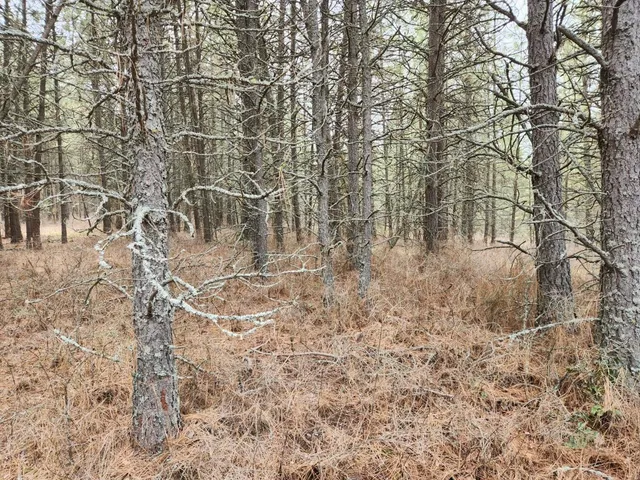 $99,500 | 29-xx Bakie Road, Valley, WA 99181