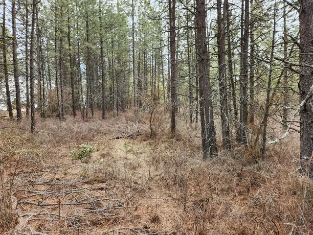 $99,500 | 29-xx Bakie Road, Valley, WA 99181