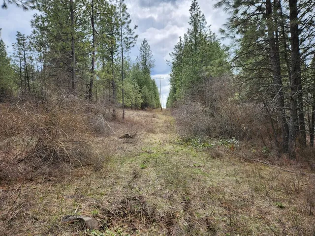 $99,500 | 29-xx Bakie Road, Valley, WA 99181