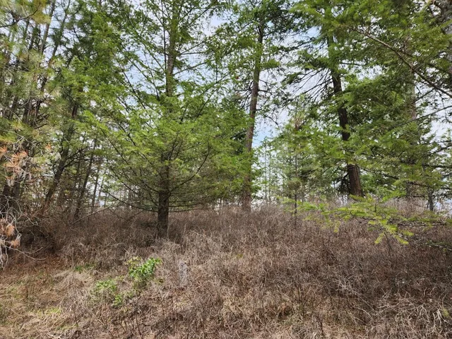 $99,500 | 29-xx Bakie Road, Valley, WA 99181