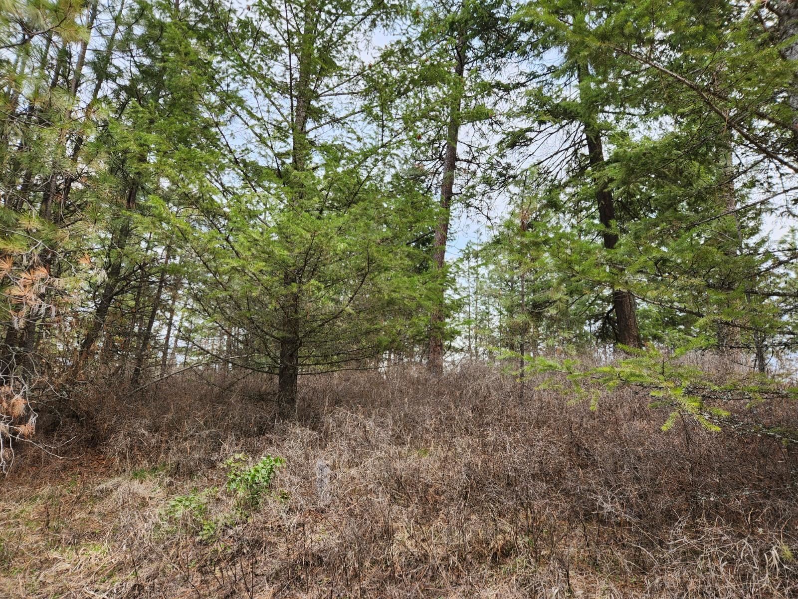 29-xx Bakie Road Valley, WA 99181 - Photo 20 of 23