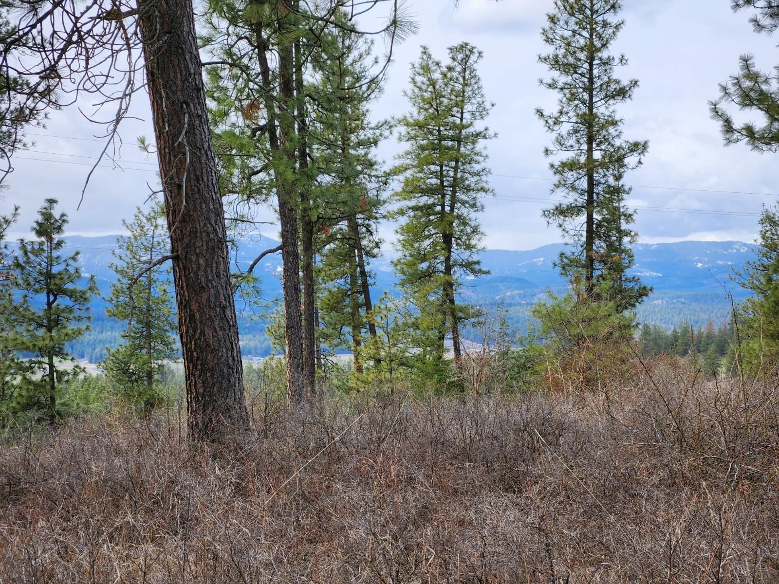 29-xx Bakie Road Valley, WA 99181 - Photo 2 of 23