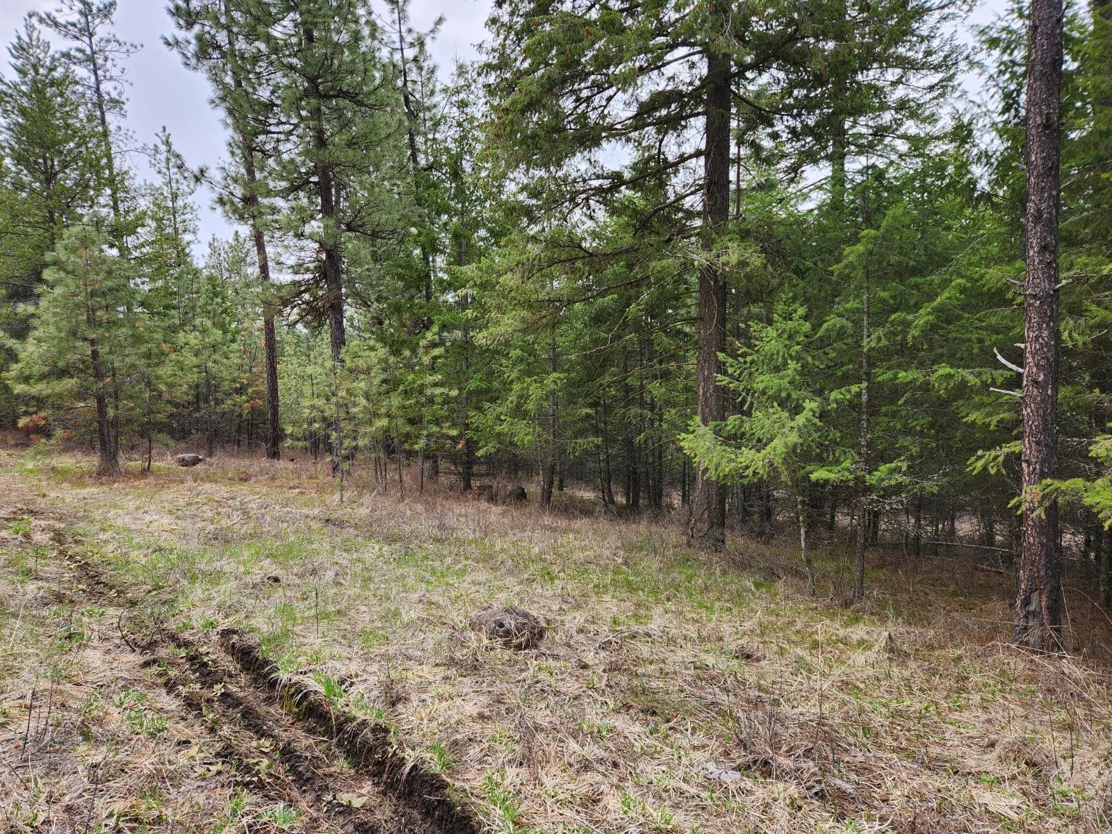 29-xx Bakie Road Valley, WA 99181 - Photo 21 of 23