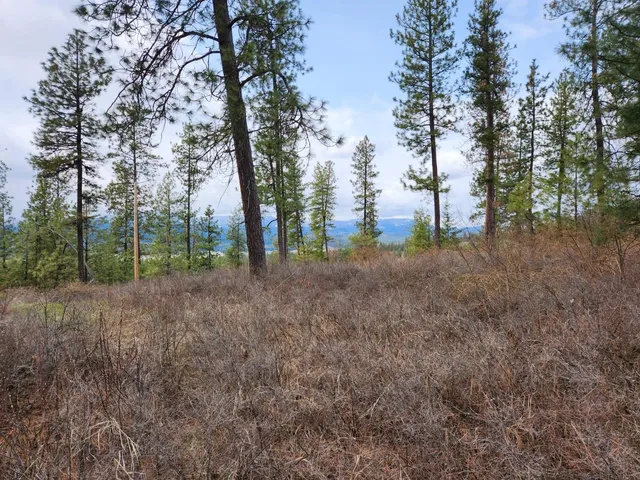 $99,500 | 29-xx Bakie Road, Valley, WA 99181