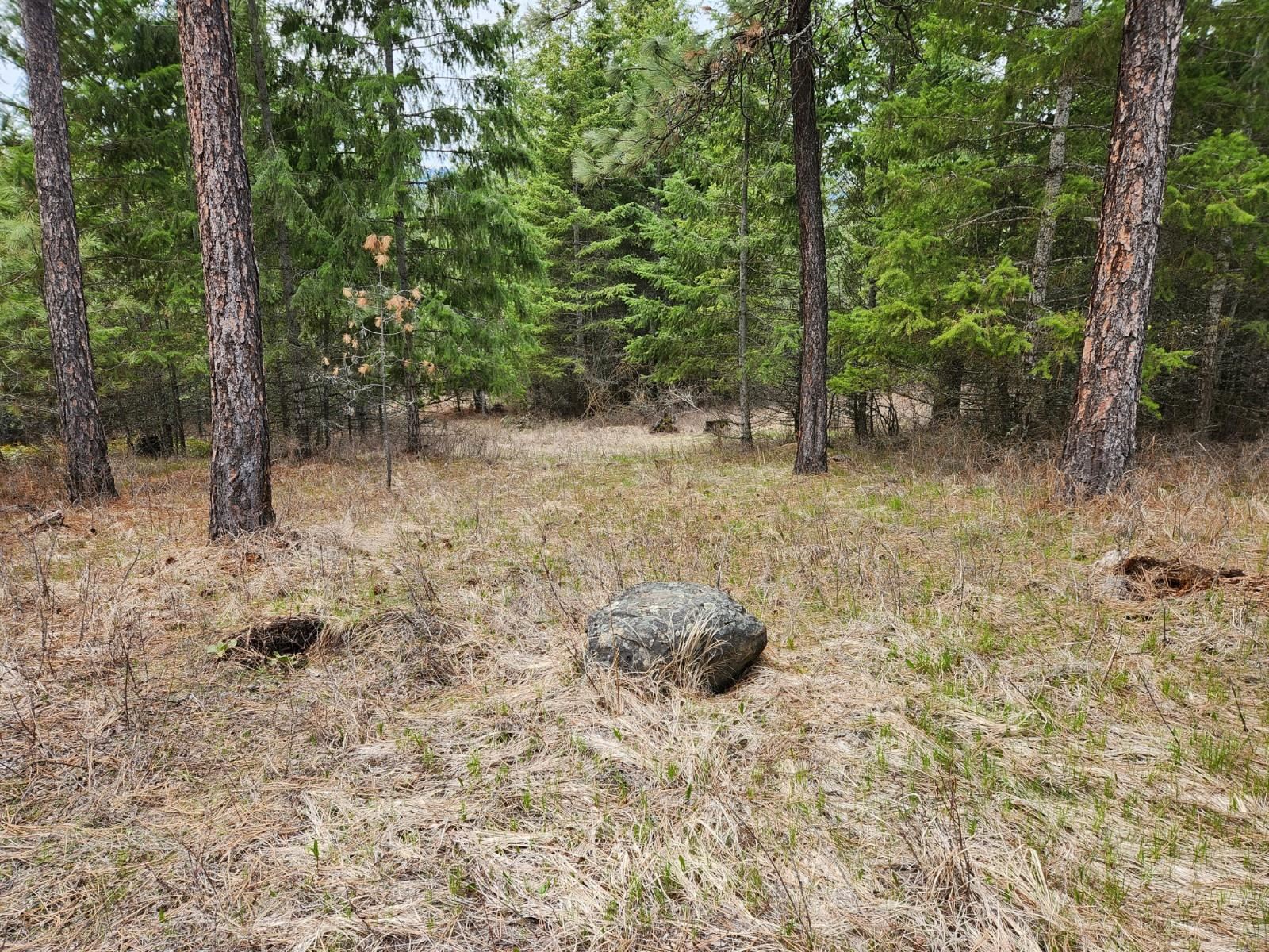 29-xx Bakie Road Valley, WA 99181 - Photo 3 of 23