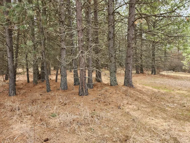 $99,500 | 29-xx Bakie Road, Valley, WA 99181