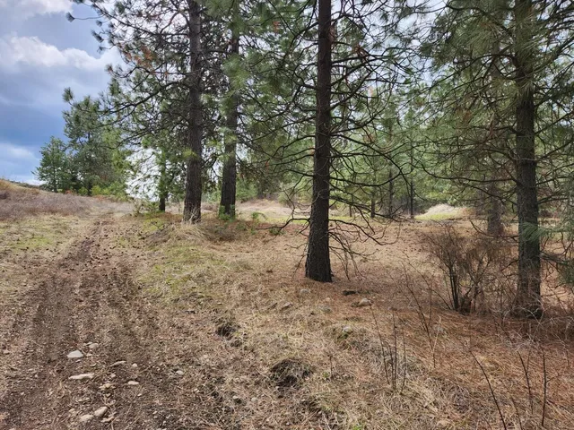 $99,500 | 29-xx Bakie Road, Valley, WA 99181