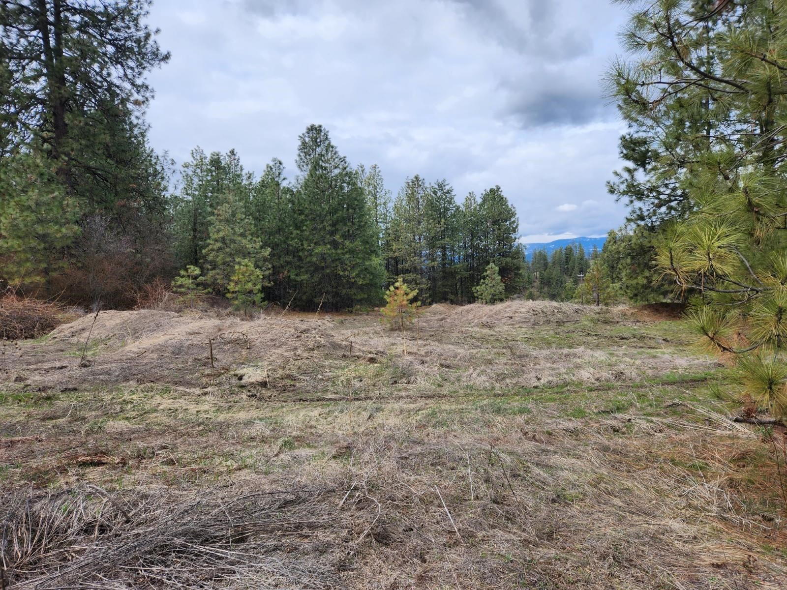 29-xx Bakie Road Valley, WA 99181 - Photo 6 of 23