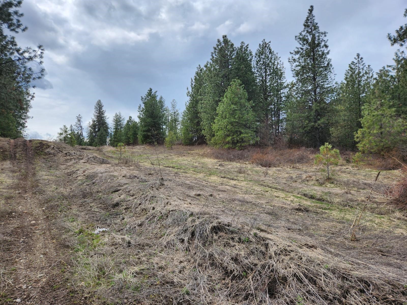 29-xx Bakie Road Valley, WA 99181 - Photo 7 of 23