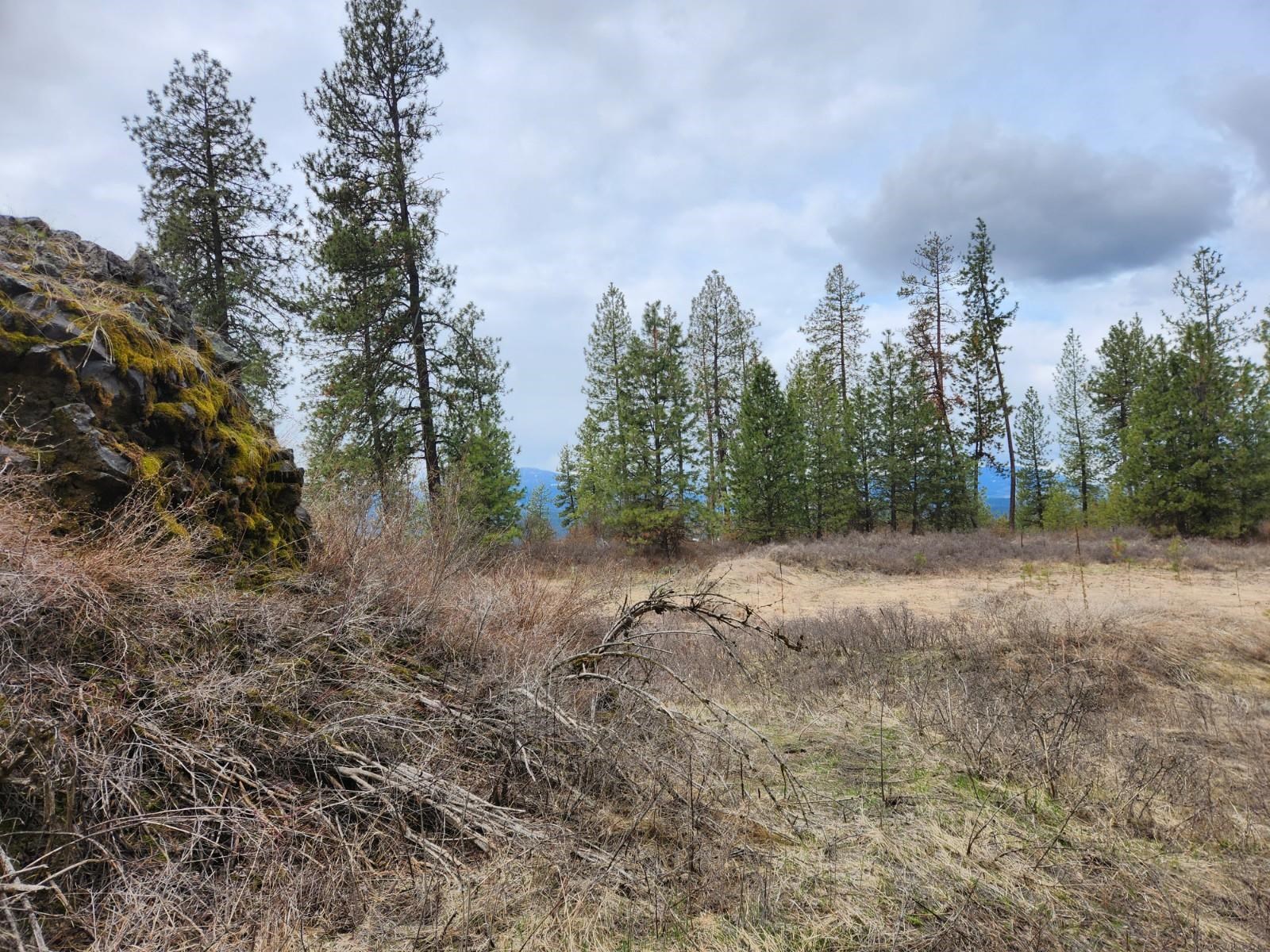 29-xx Bakie Road Valley, WA 99181 - Photo 10 of 23