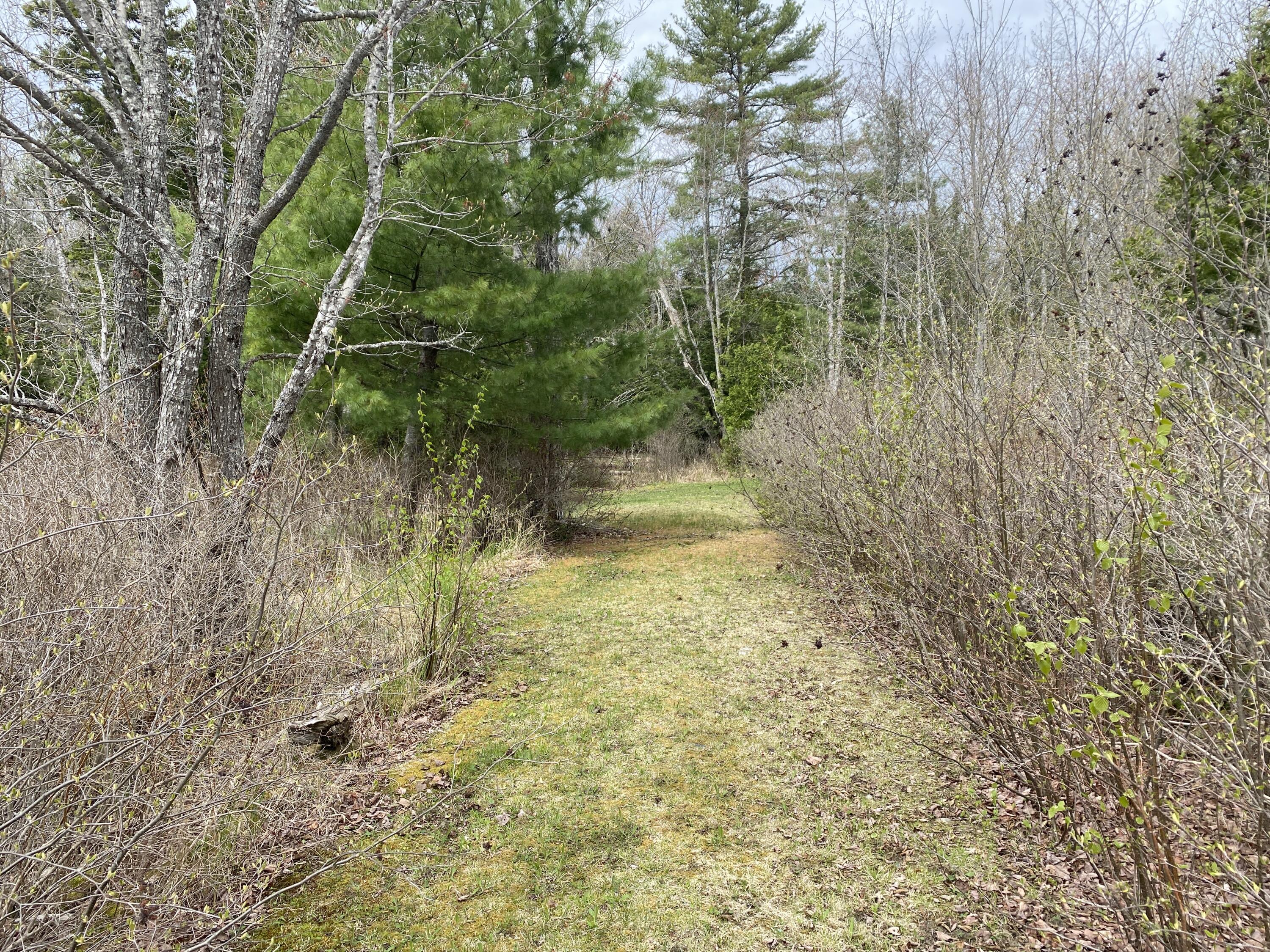 Tbd Depot Road Lakeville, ME 04487 - Photo 26 of 56