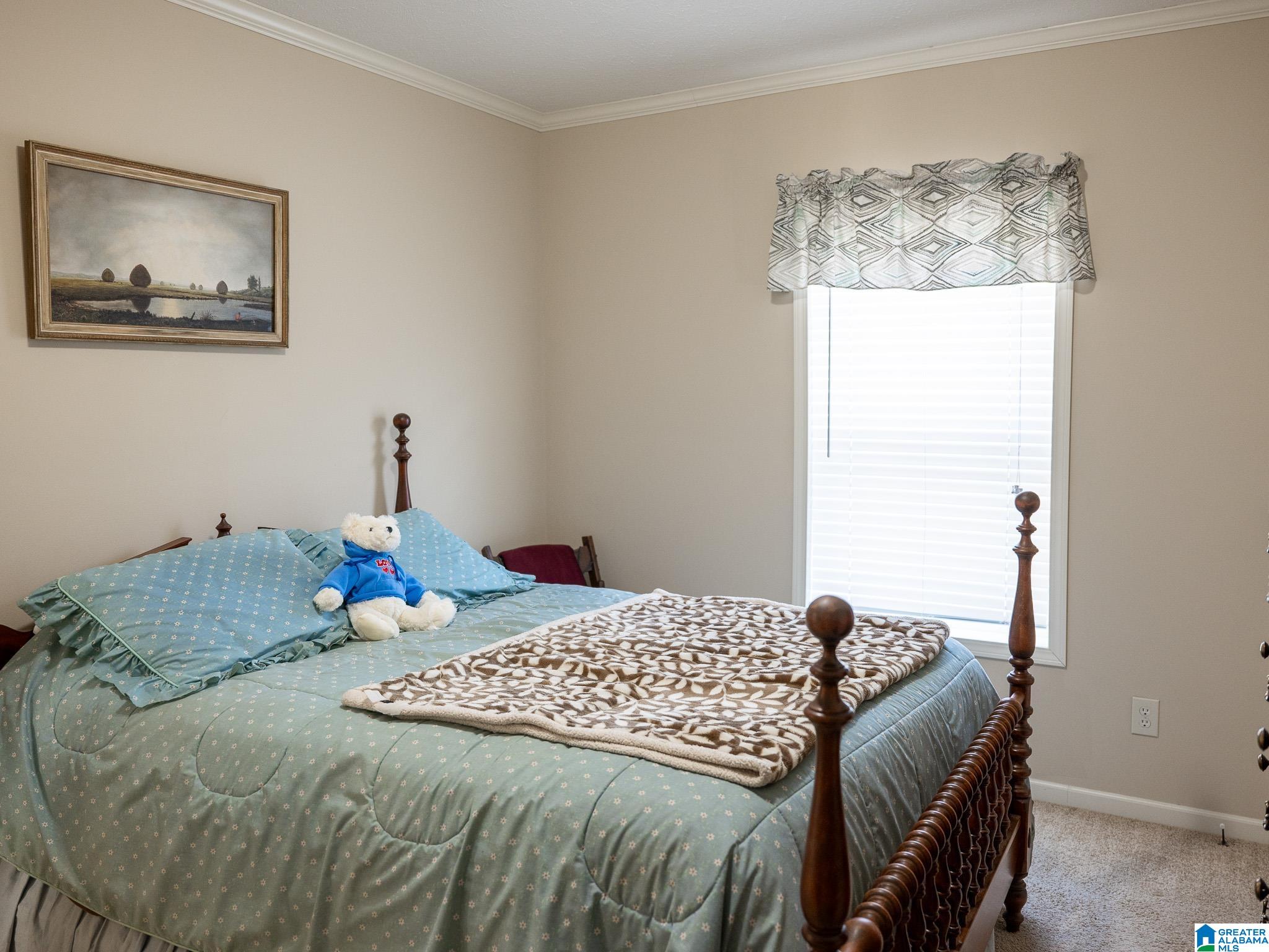 10715 Big Hurricane Road Brookwood, AL 35444 - Photo 44 of 47
