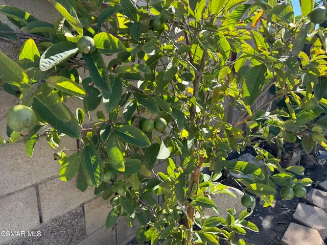 a terrace with outdoor seating and plants