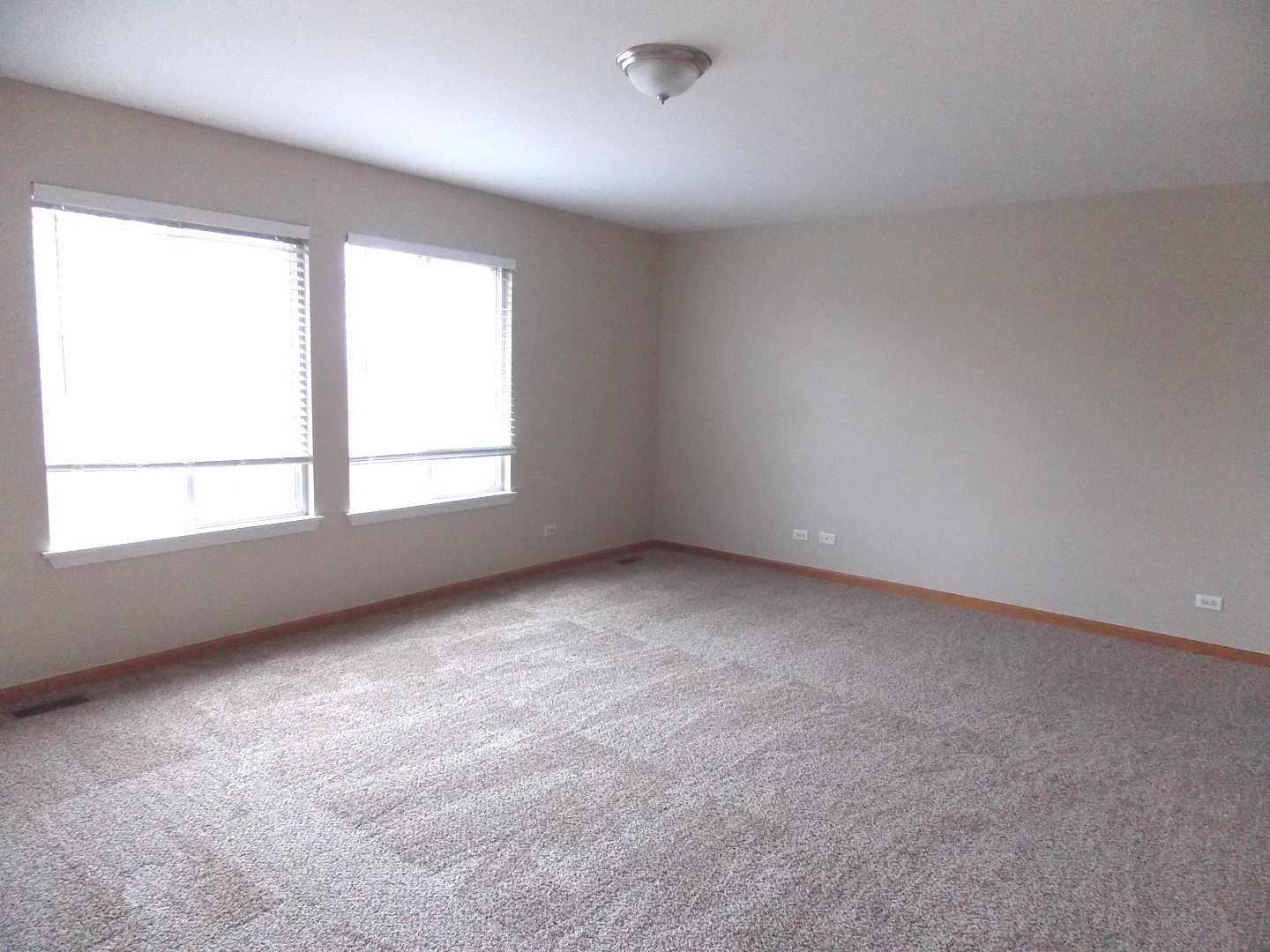 923 Christopher Street Plano, IL 60545 - Photo 11 of 17
