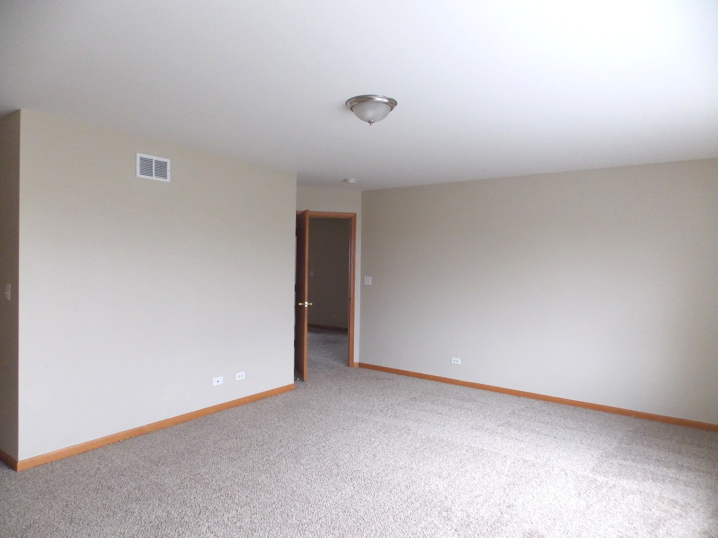 923 Christopher Street Plano, IL 60545 - Photo 12 of 17
