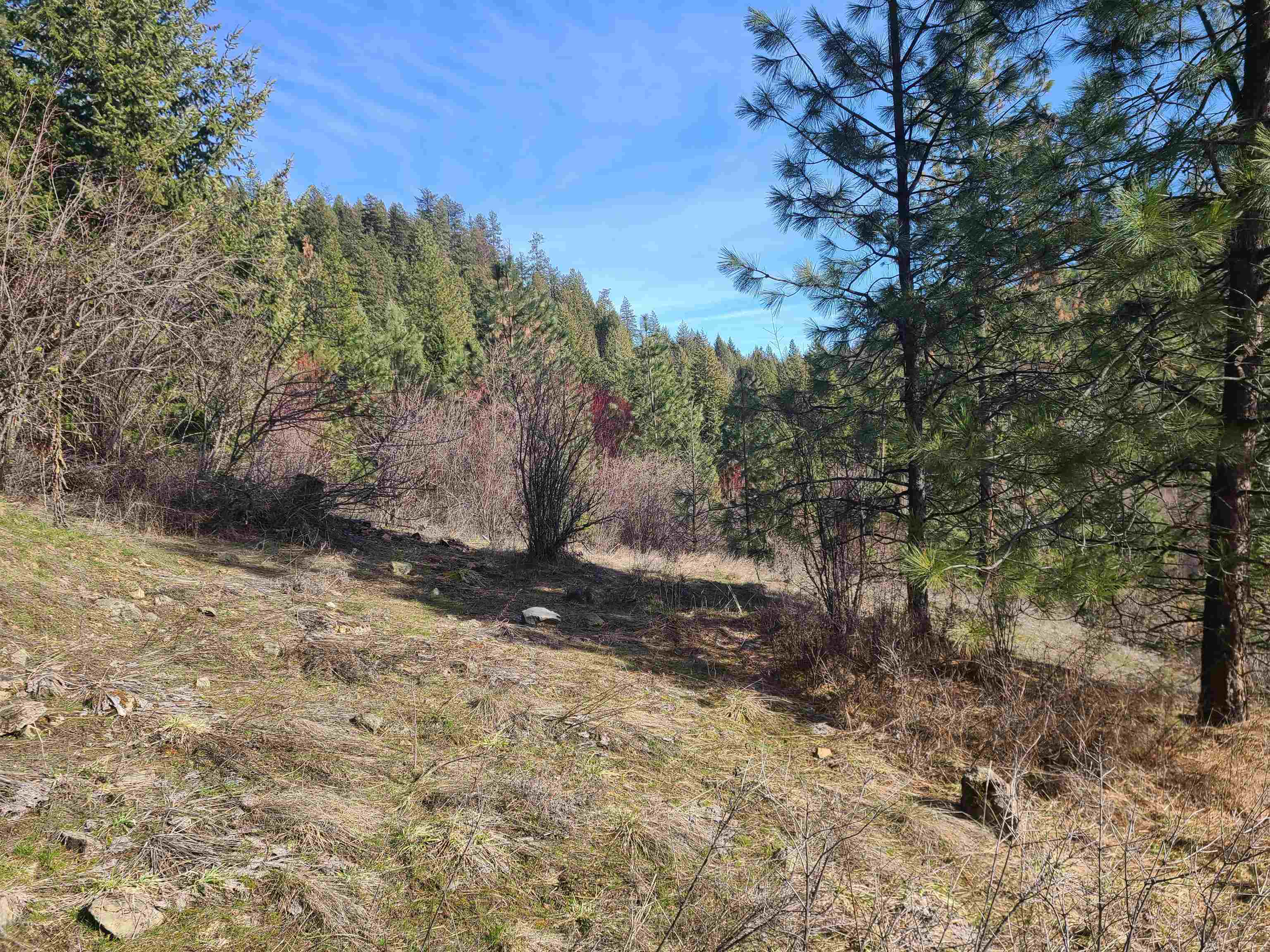 2584 F Bridgeman-Rettinger Road Kettle Falls, WA 99141 - Photo 14 of 21