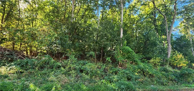 $1 | 20 Glenwood Avenue, Lockport City, NY 14094