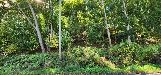 $1 | 20 Glenwood Avenue, Lockport City, NY 14094