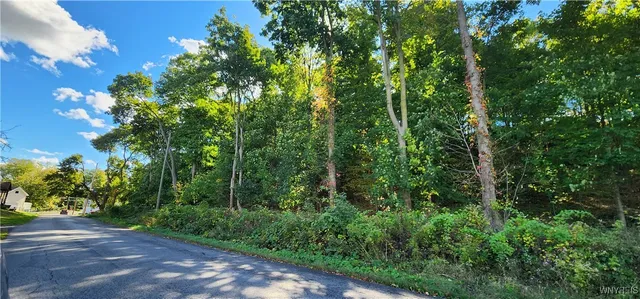 $1 | 20 Glenwood Avenue, Lockport City, NY 14094