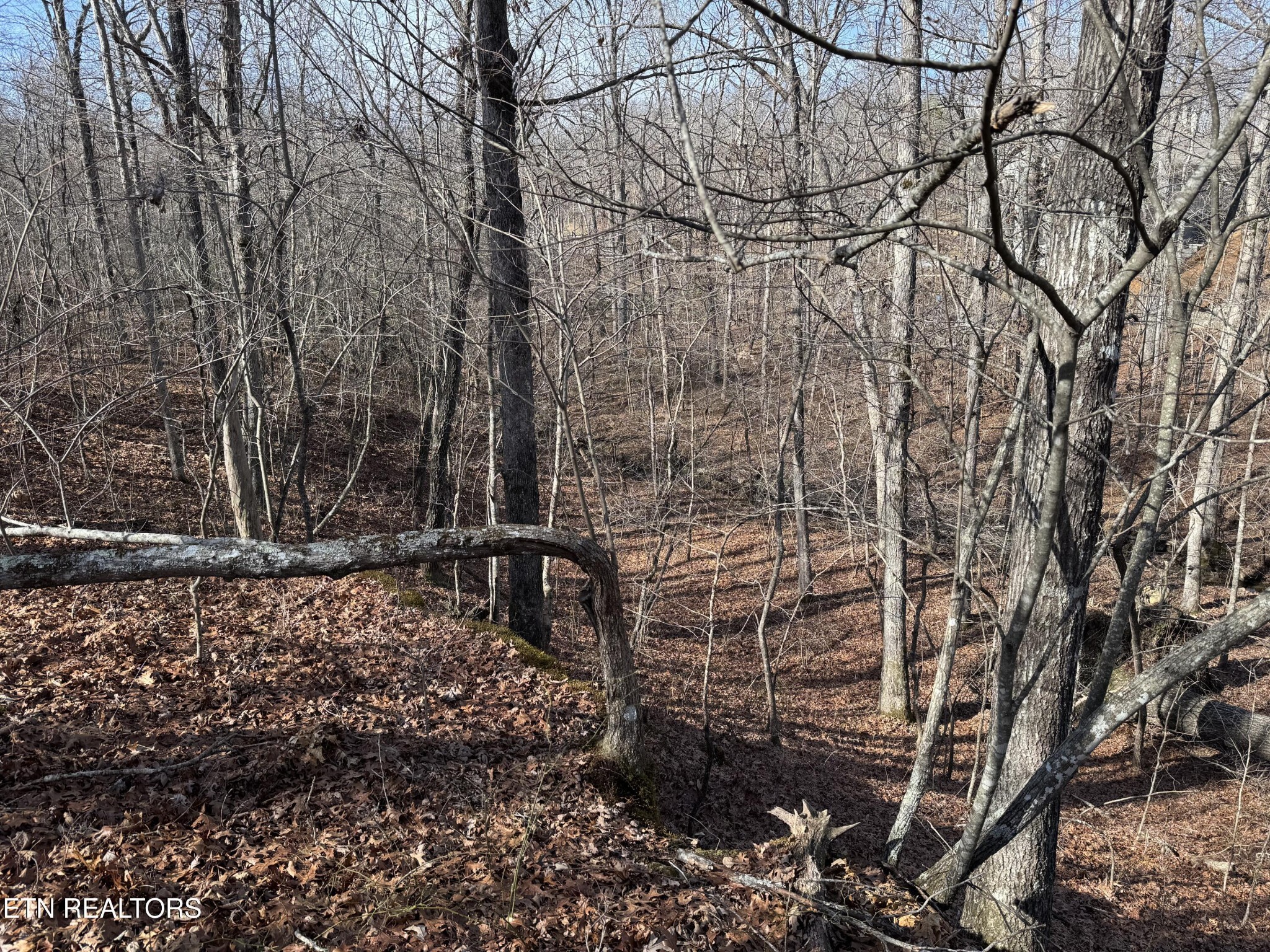 38 Crystal Point Monterey, TN 38574 - Photo 2 of 5 a backyard of a house with lots of green space