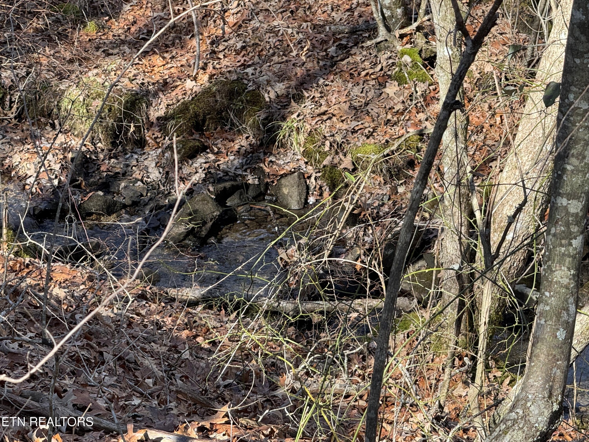 38 Crystal Point Monterey, TN 38574 - Photo 3 of 5