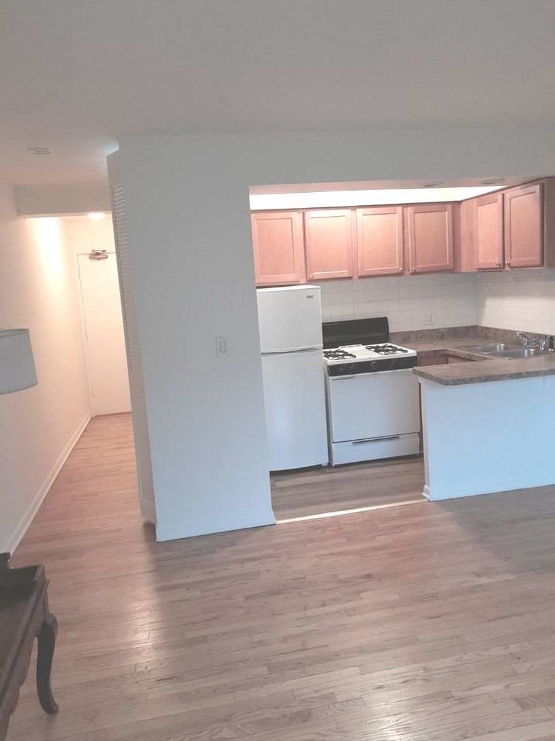 540 West Roscoe Street, Unit 382 Chicago, IL 60657 - Photo 6 of 13 a kitchen with granite countertop a stove a sink and a refrigerator