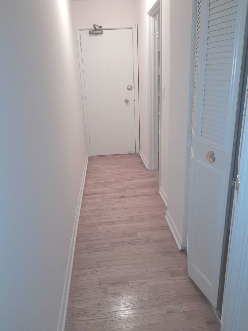 540 West Roscoe Street, Unit 382 Chicago, IL 60657 - Photo 8 of 13 a view of a hallway with wooden floor