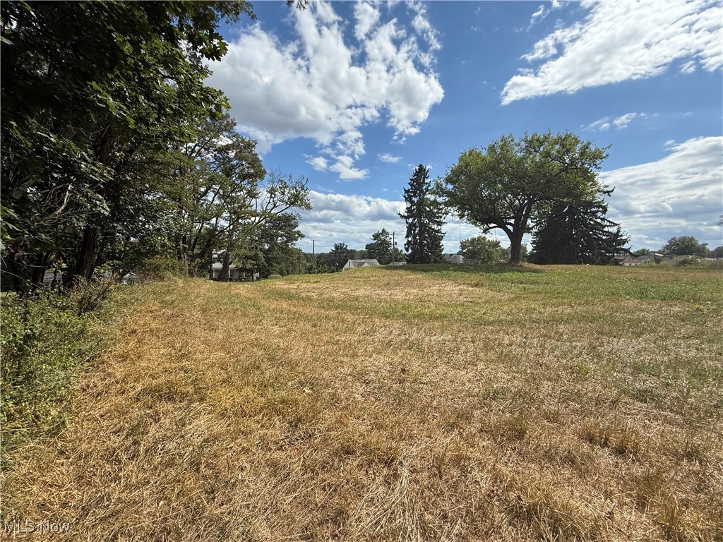 408 East High Street Flushing, OH 43977 - Photo 9 of 13 View of local wilderness with rural landscape