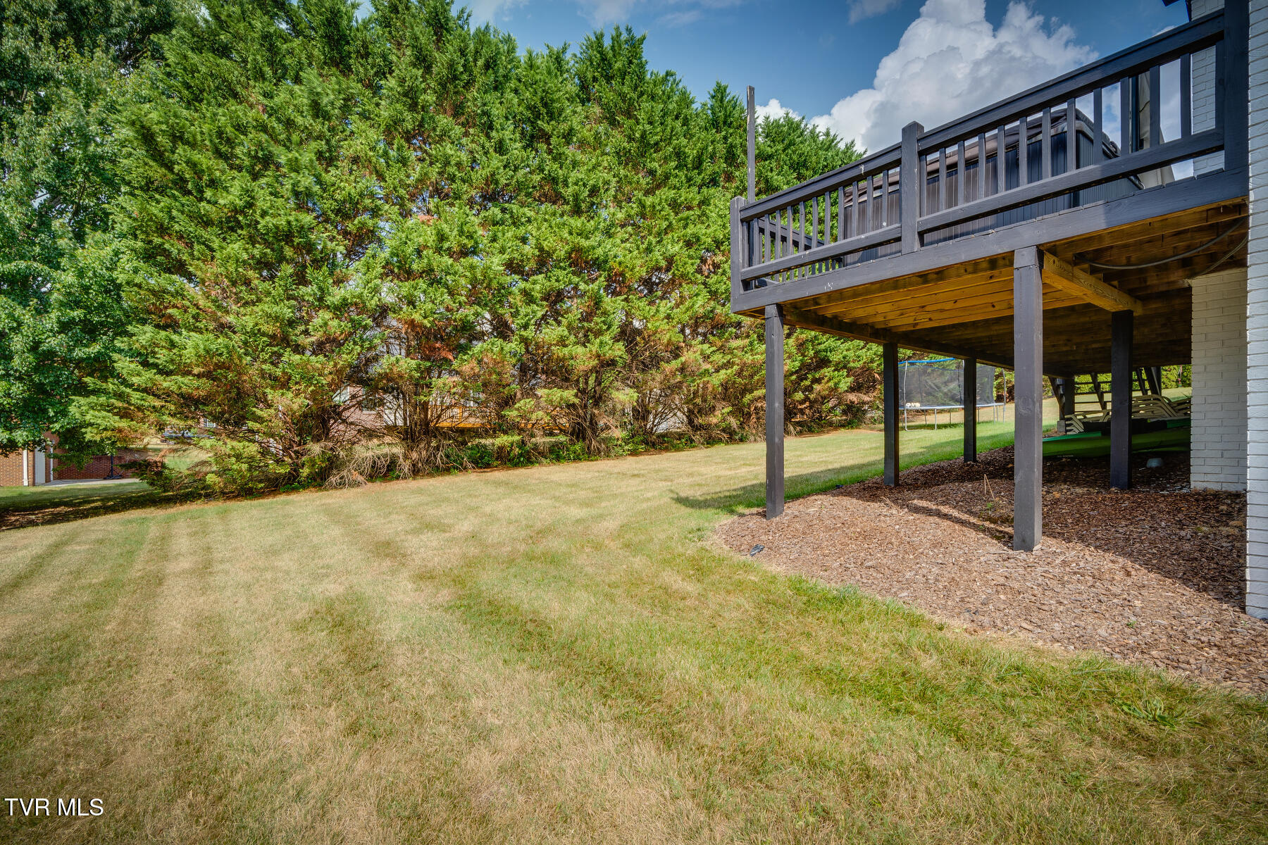 115 Reed Circle Johnson City, TN 37601 - Photo 46 of 52 064