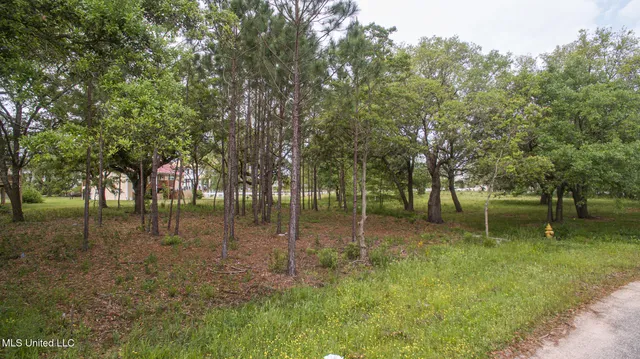 $49,999 | Lot 32 Basswood Pass, Pass Christian, MS 39571