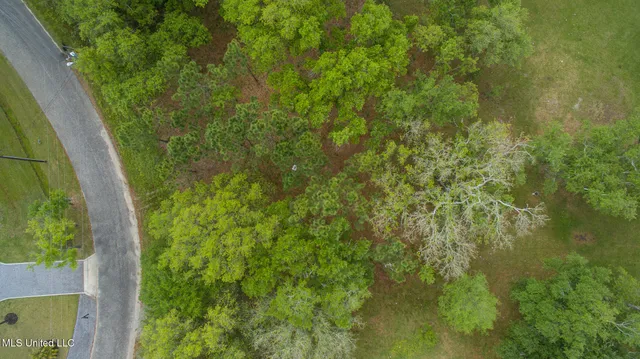 $49,999 | Lot 32 Basswood Pass, Pass Christian, MS 39571