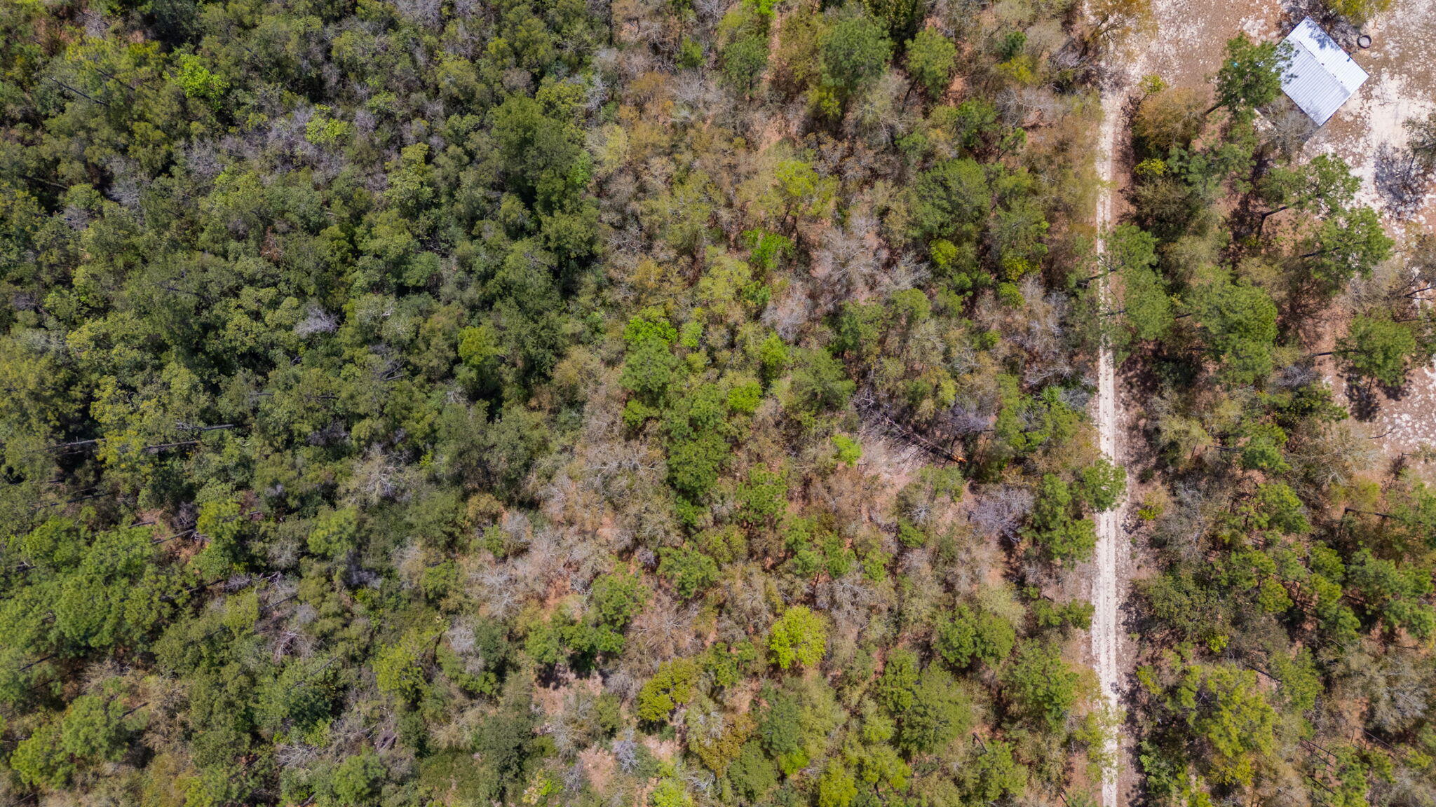 Na Na Womack Road, Unit LOTS 150 Crestview, FL 32539 - Photo 11 of 25 11-web-or-mls-woolmac-rd