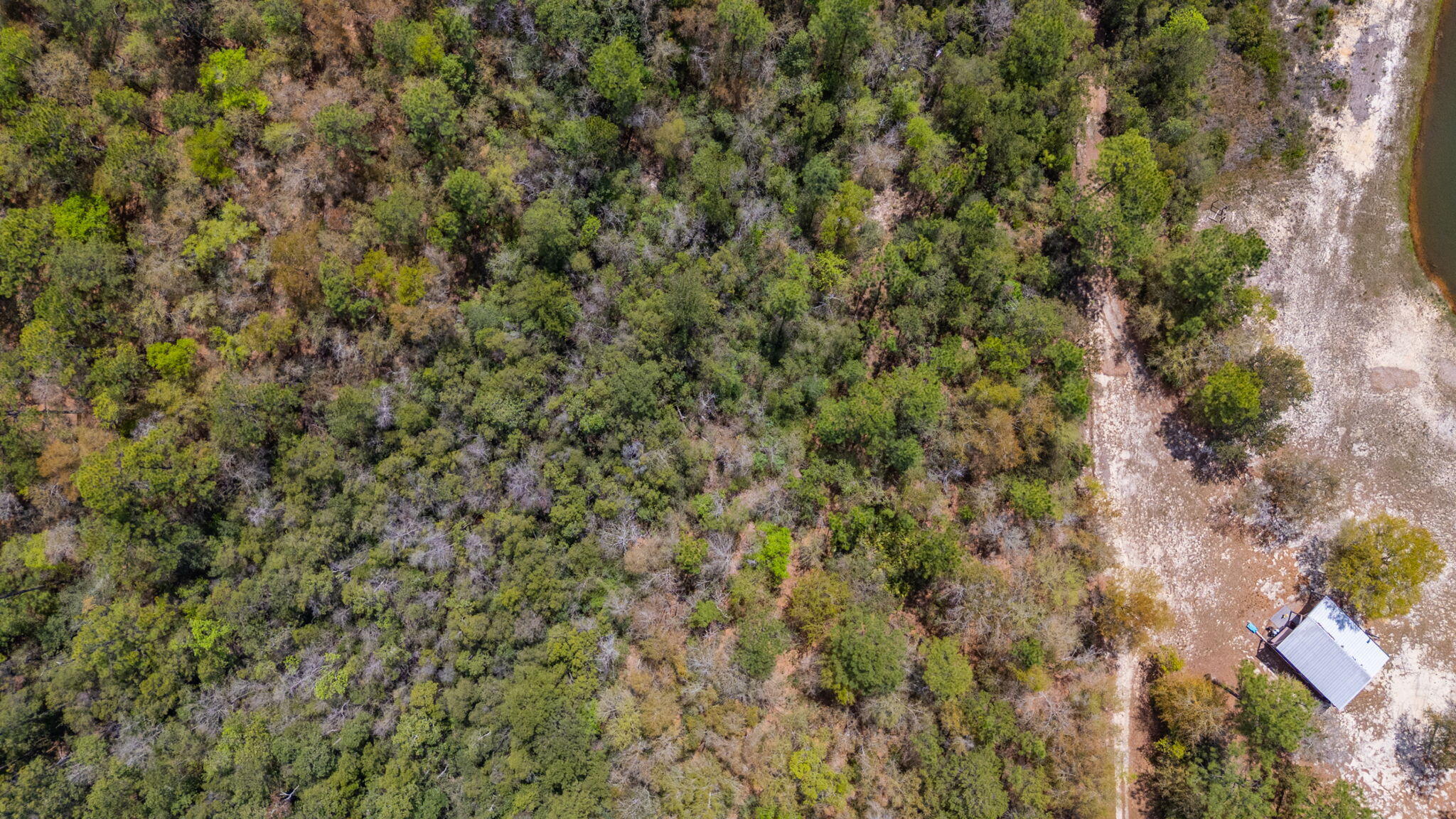 Na Na Womack Road, Unit LOTS 150 Crestview, FL 32539 - Photo 12 of 25 12-web-or-mls-woolmac-rd