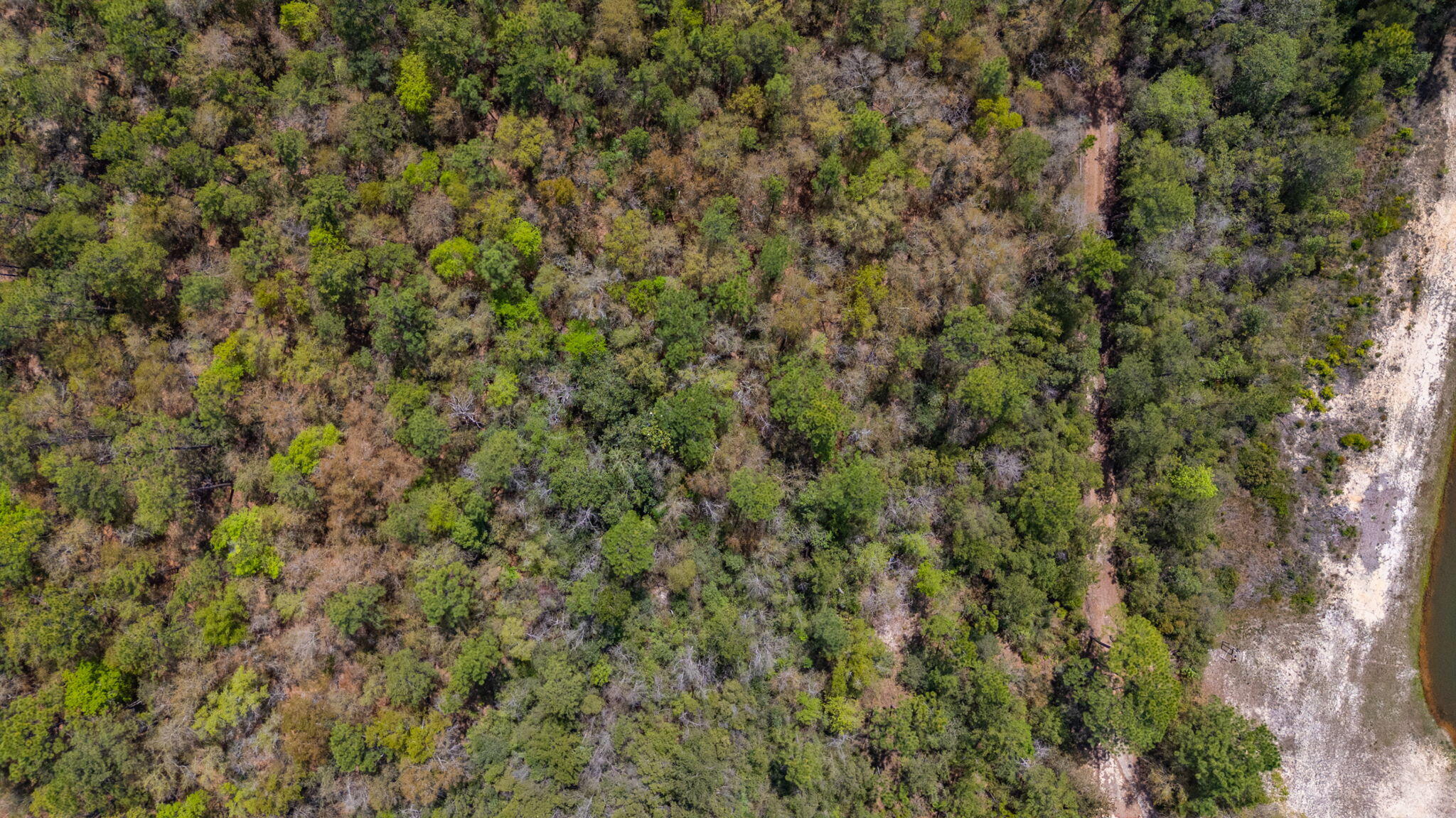 Na Na Womack Road, Unit LOTS 150 Crestview, FL 32539 - Photo 13 of 25 13-web-or-mls-woolmac-rd