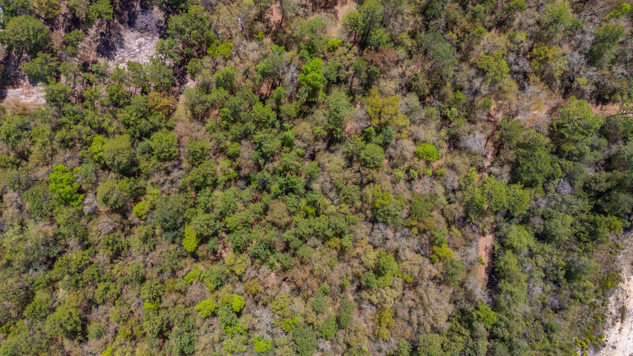 Na Na Womack Road, Unit LOTS 150 Crestview, FL 32539 - Photo 14 of 25 14-web-or-mls-woolmac-rd