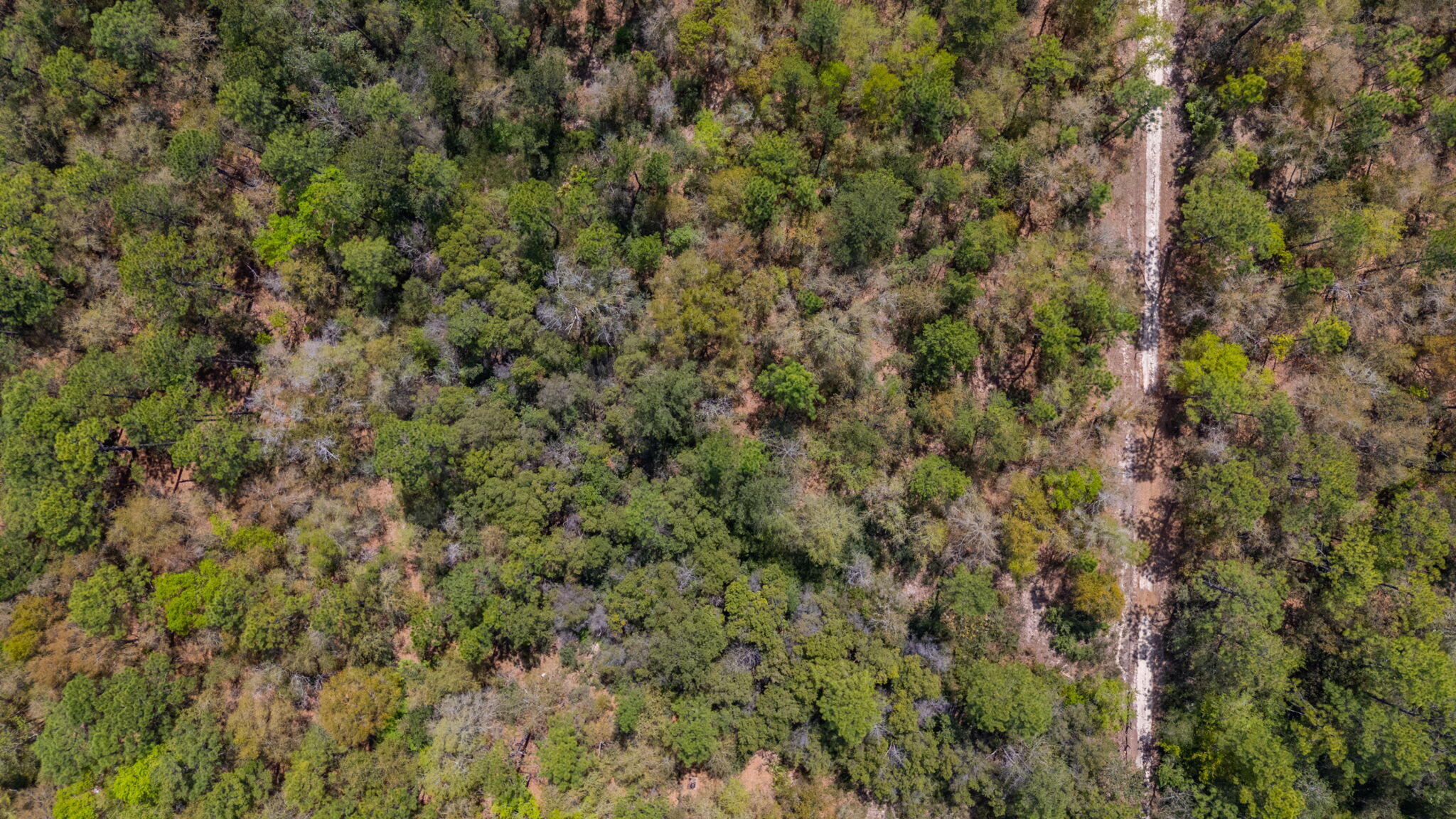 Na Na Womack Road, Unit LOTS 150 Crestview, FL 32539 - Photo 15 of 25 15-web-or-mls-woolmac-rd